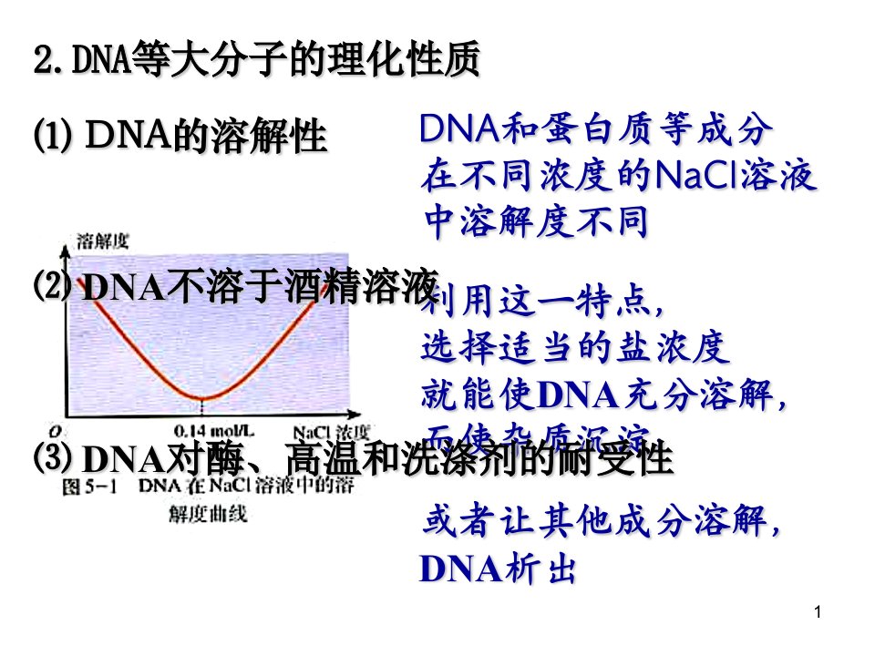 DNA的粗提取和鉴定2