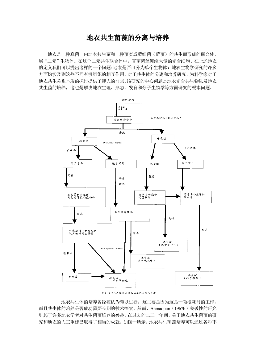 地衣共生菌藻的分离与培养