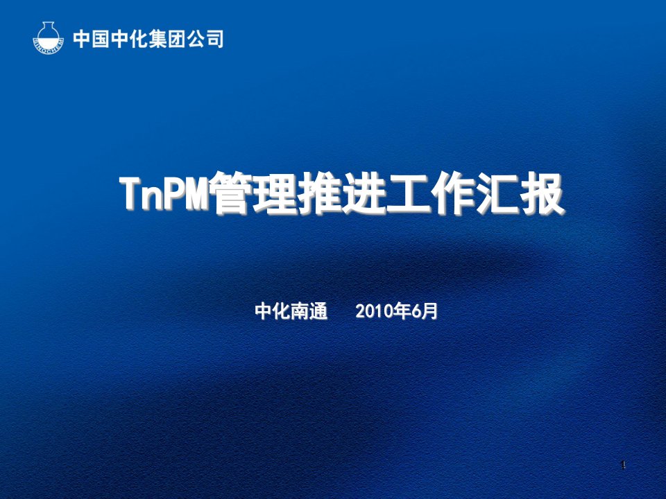 tnpm工作汇报ppt幻灯片