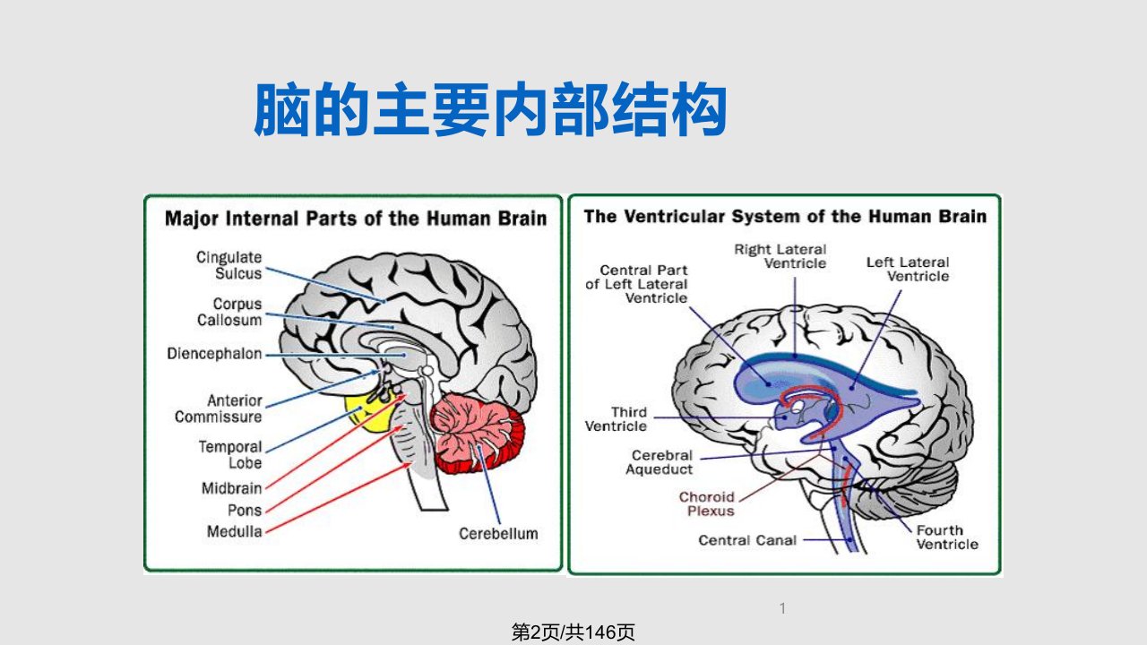 神经系统核医学显像