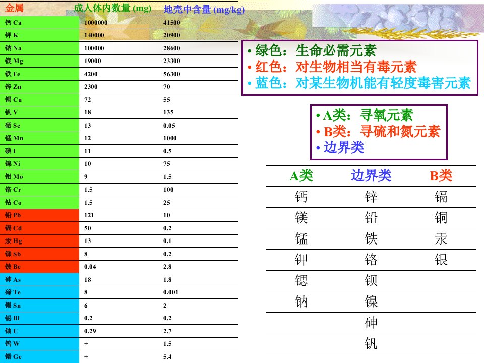 《生态毒理学》PPT课件