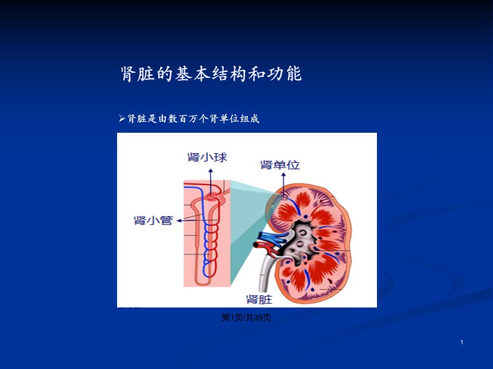 常用肾功能实验室检测