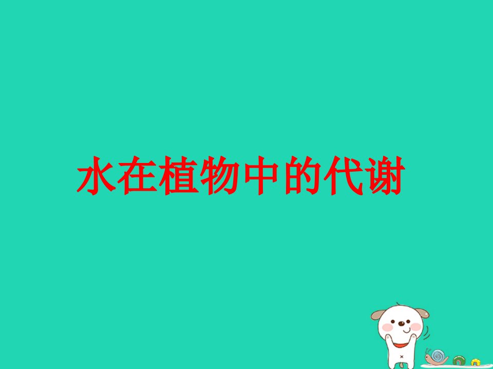 八年级科学上册