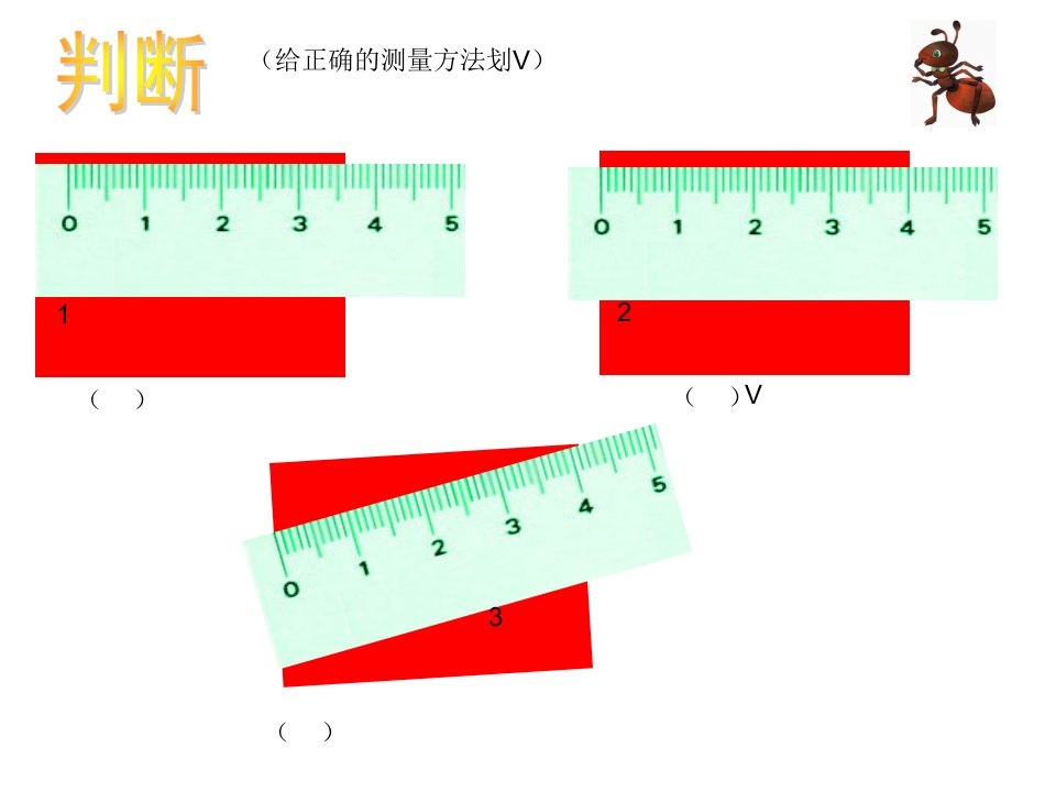 二年级上学期复习备考