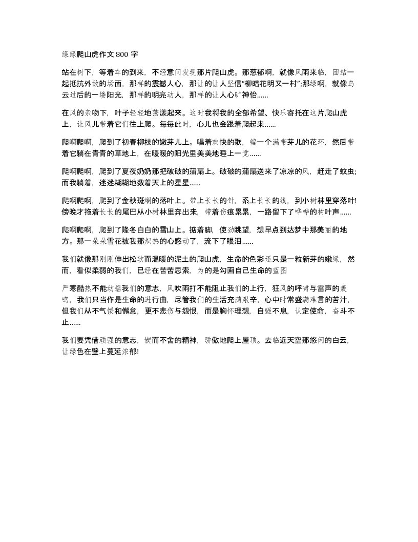 绿绿爬山虎作文800字