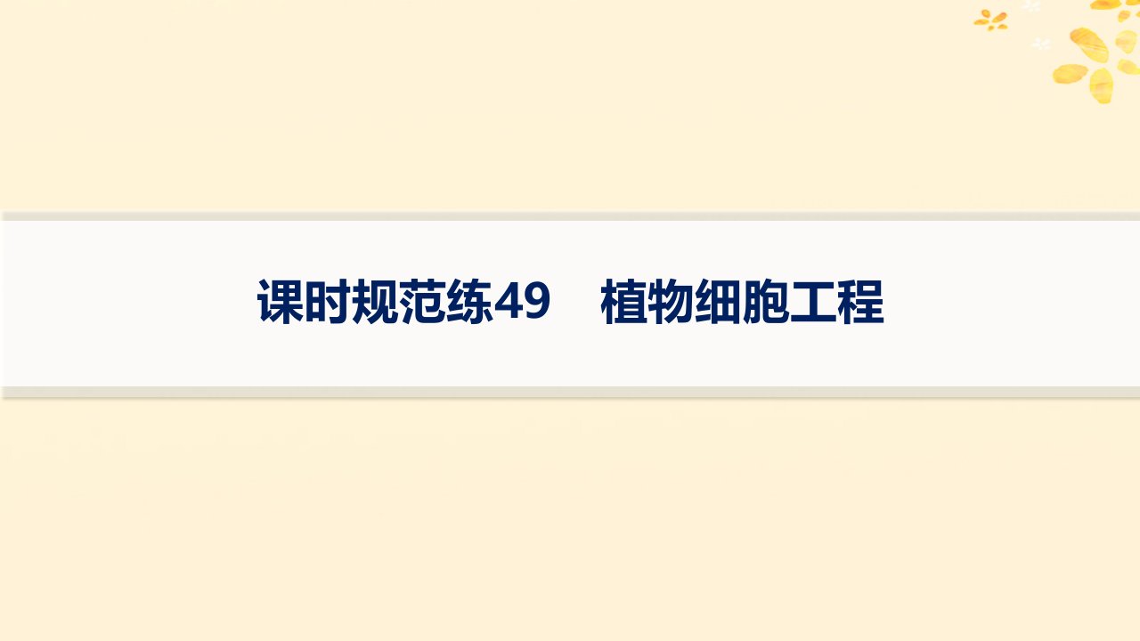 适用于新高考新教材备战2025届高考生物一轮总复习第10单元生物技术与工程课时规范练49植物细胞工程课件