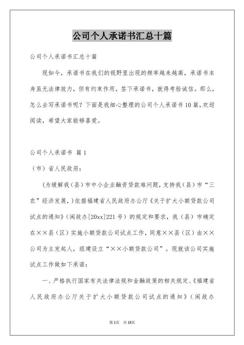 公司个人承诺书汇总十篇