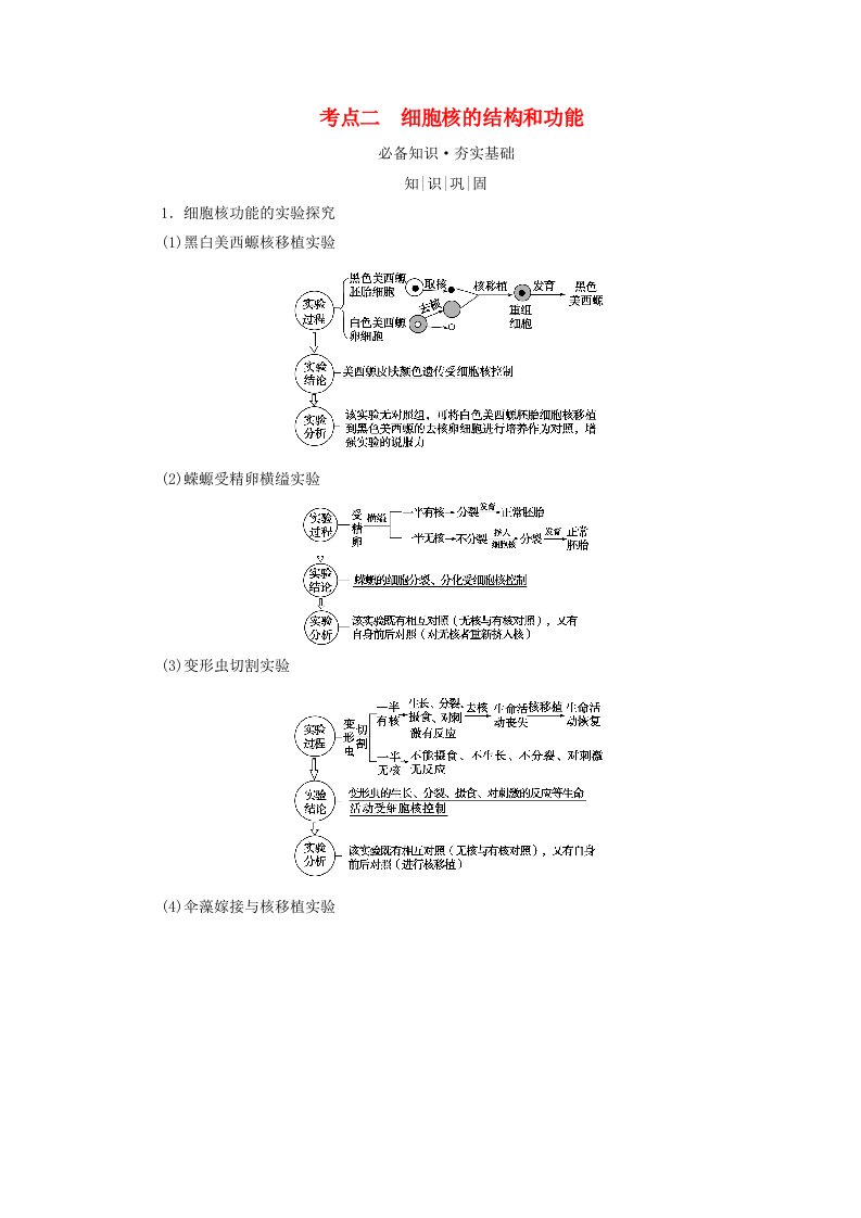 2025版高考生物一轮总复习教师用书必修1第2单元细胞的基本结构与物质输入和输出第1讲细胞膜和细胞核考点二细胞核的结构和功能