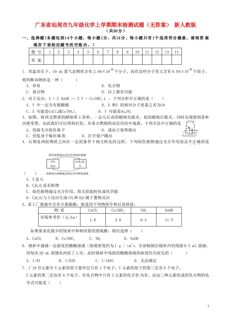 广东省汕尾市九级化学上学期期末检测试题（无答案）