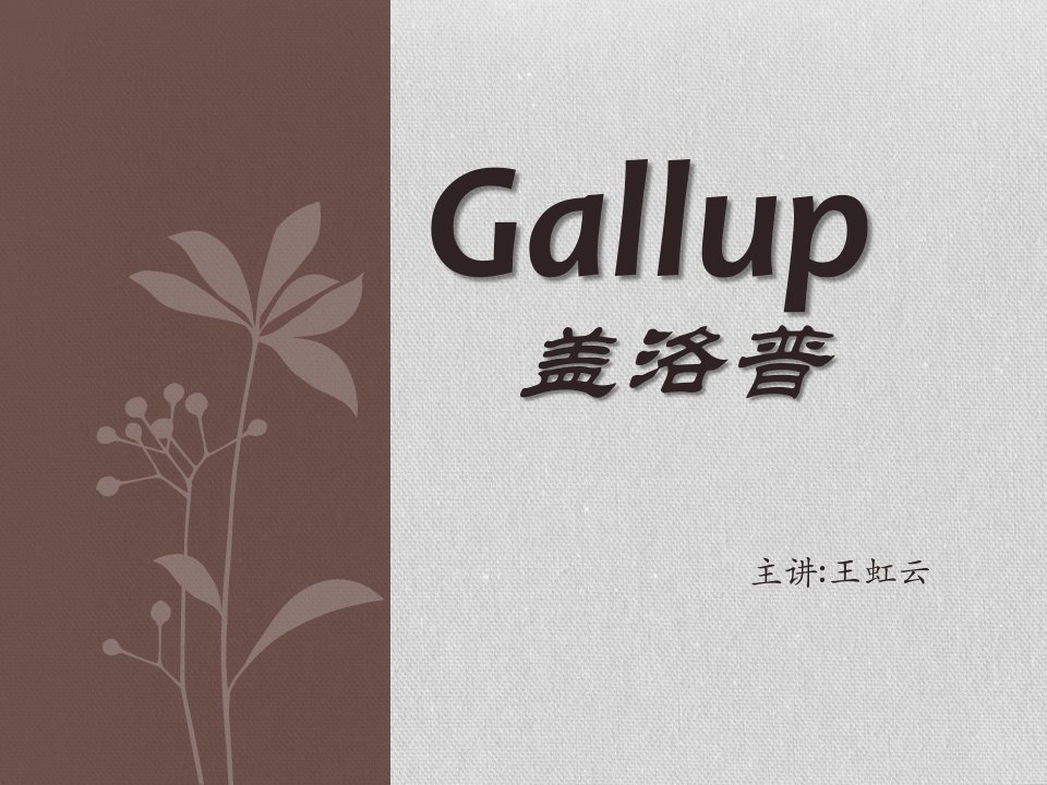 盖勒普民意调查Gallup