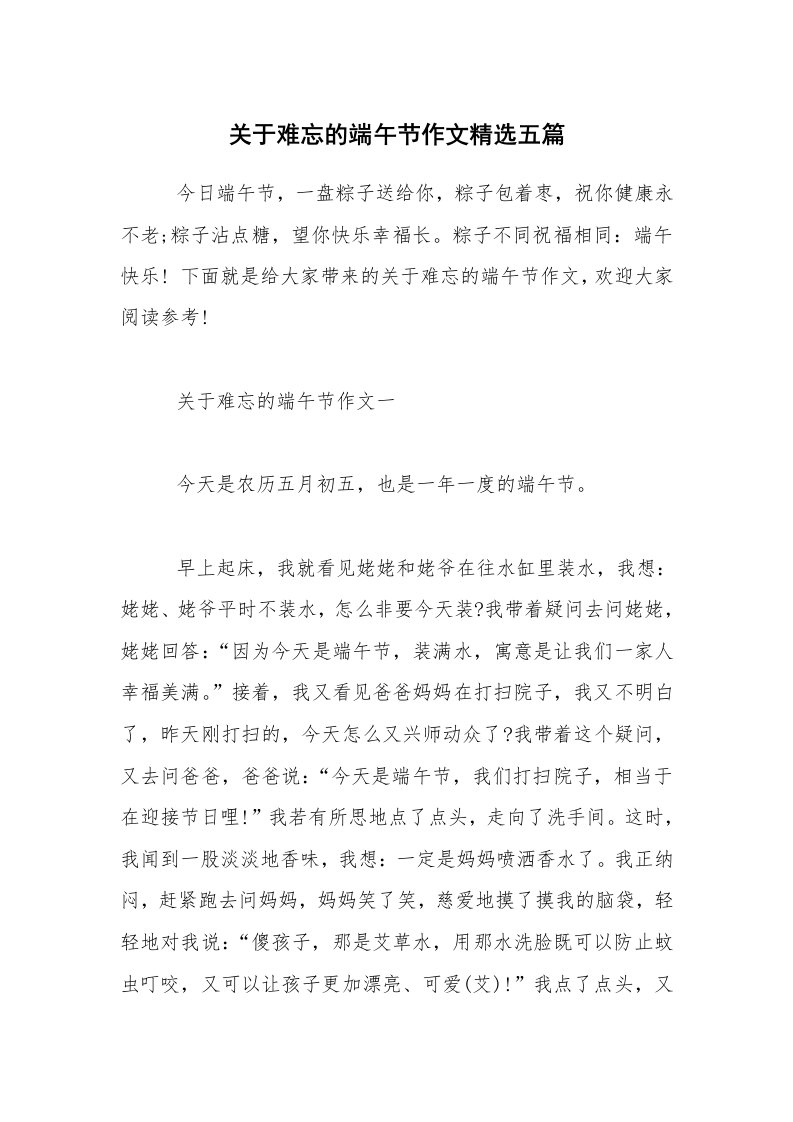 关于难忘的端午节作文精选五篇