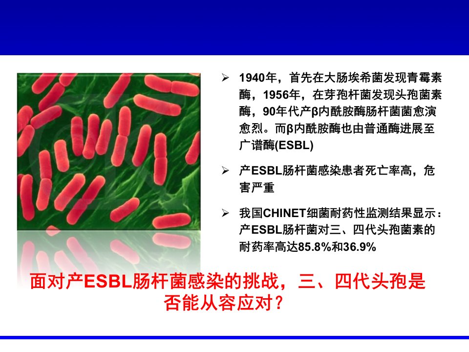 三四代头孢菌素能否有效治疗产ESBL肠杆菌感染