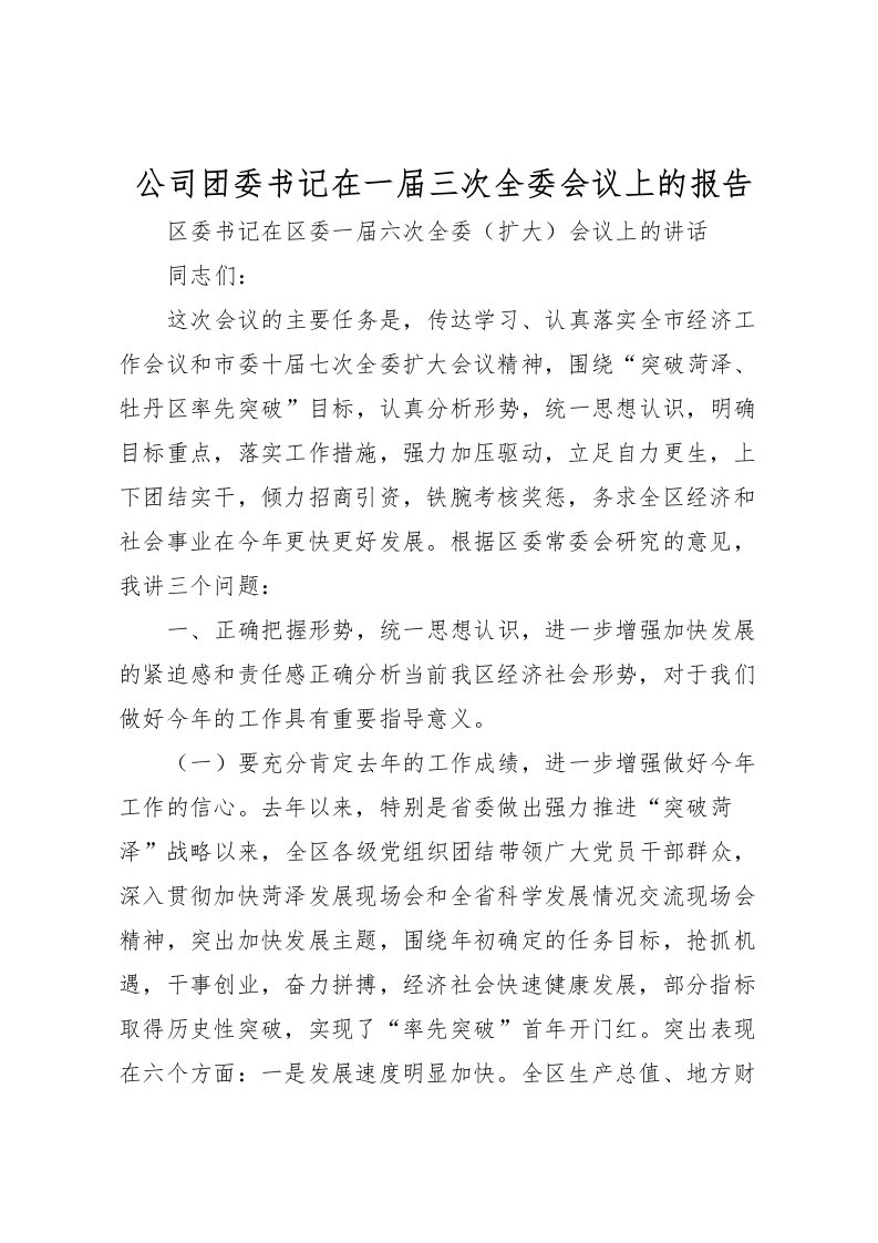 2022公司团委书记在一届三次全委会议上的报告