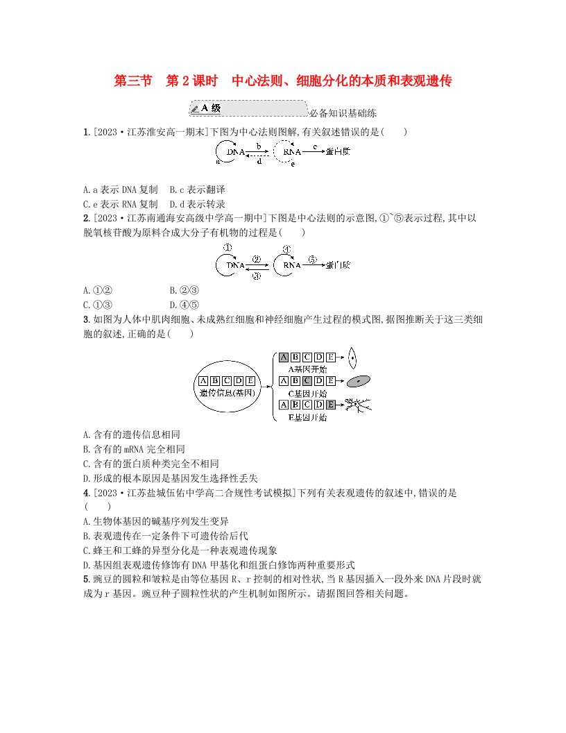 江苏专版2023_2024学年新教材高中生物第二章遗传的分子基础第三节遗传信息控制生物的性状第2课时中心法则细胞分化的本质和表观遗传分层作业苏教版必修2