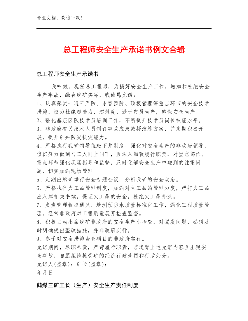 总工程师安全生产承诺书例文合辑