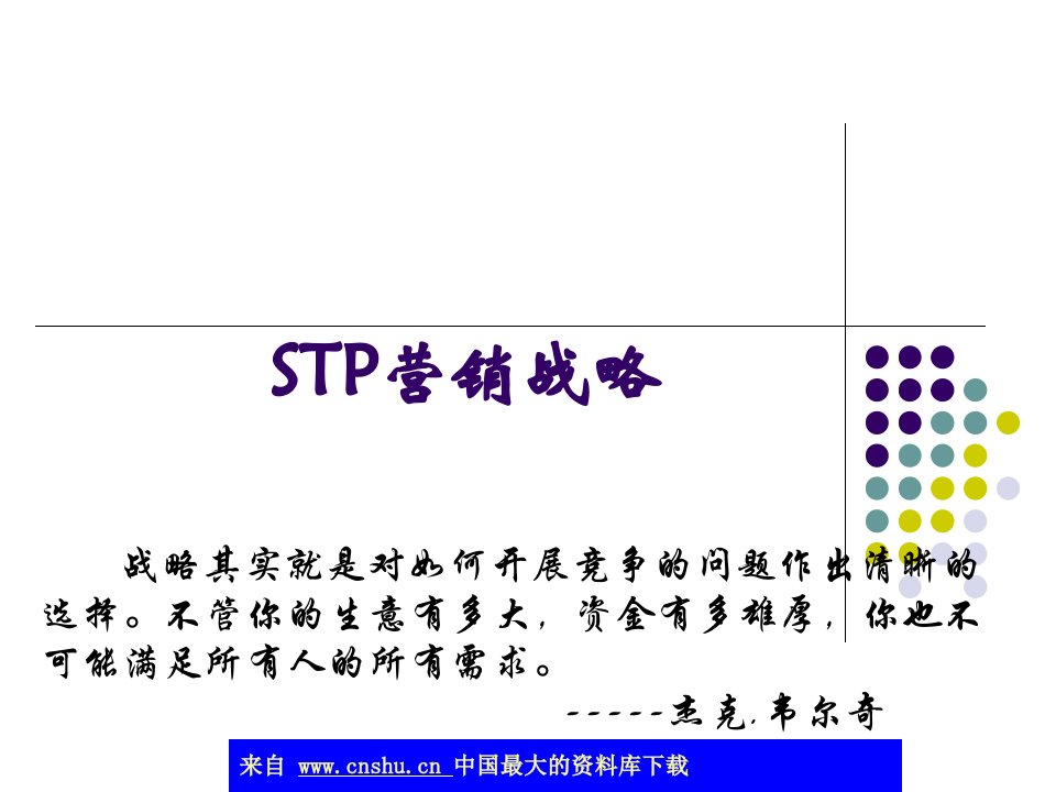 abz_STP营销战略-市场细分战略(ppt