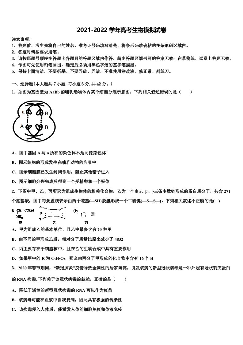 广东省深圳市深圳外国语学校2021-2022学年高三（最后冲刺）生物试卷含解析