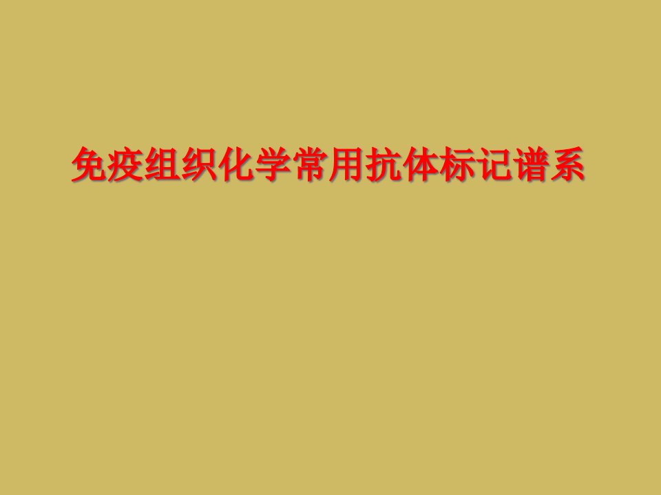 免疫组织化学常用抗体标记谱系课件