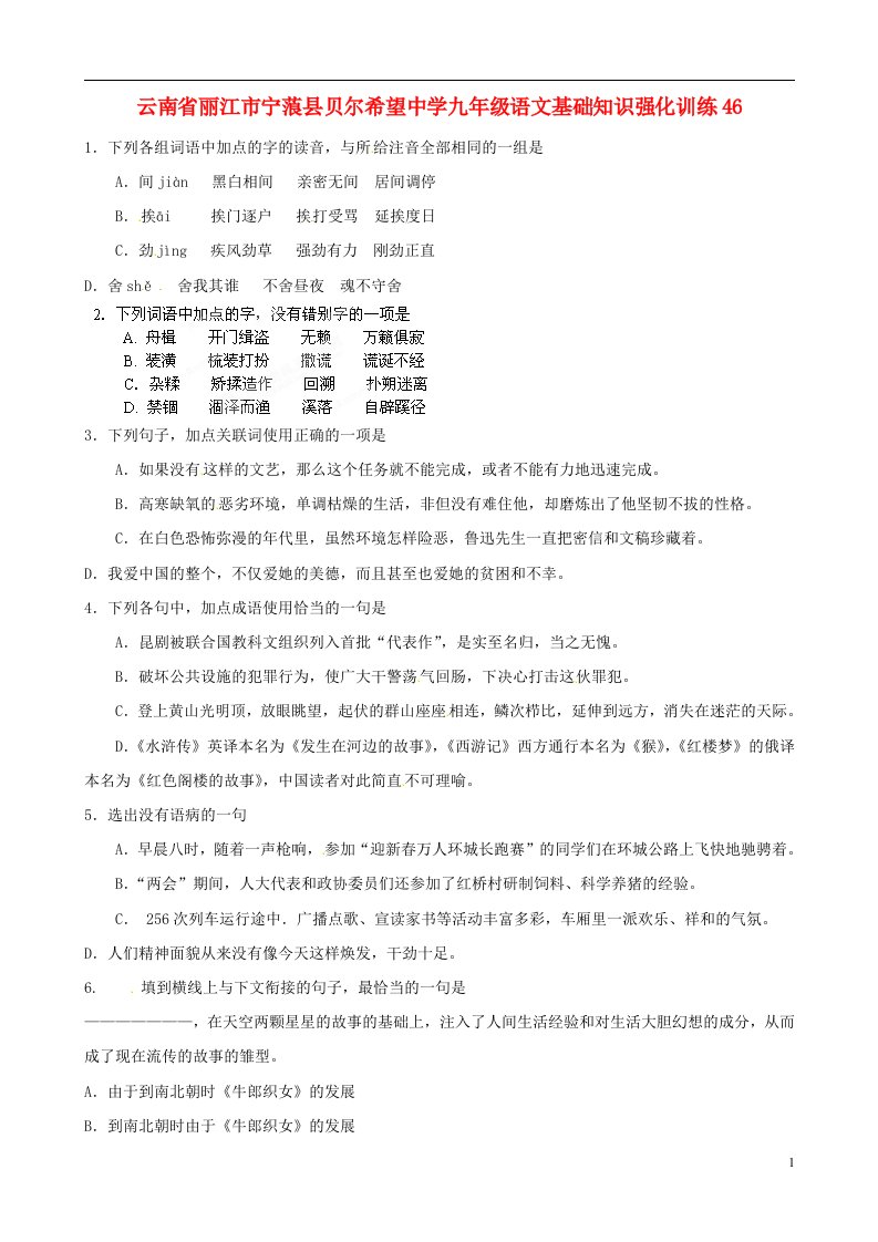 云南省丽江市宁蒗县贝尔希望中学九年级语文基础知识强化训练46