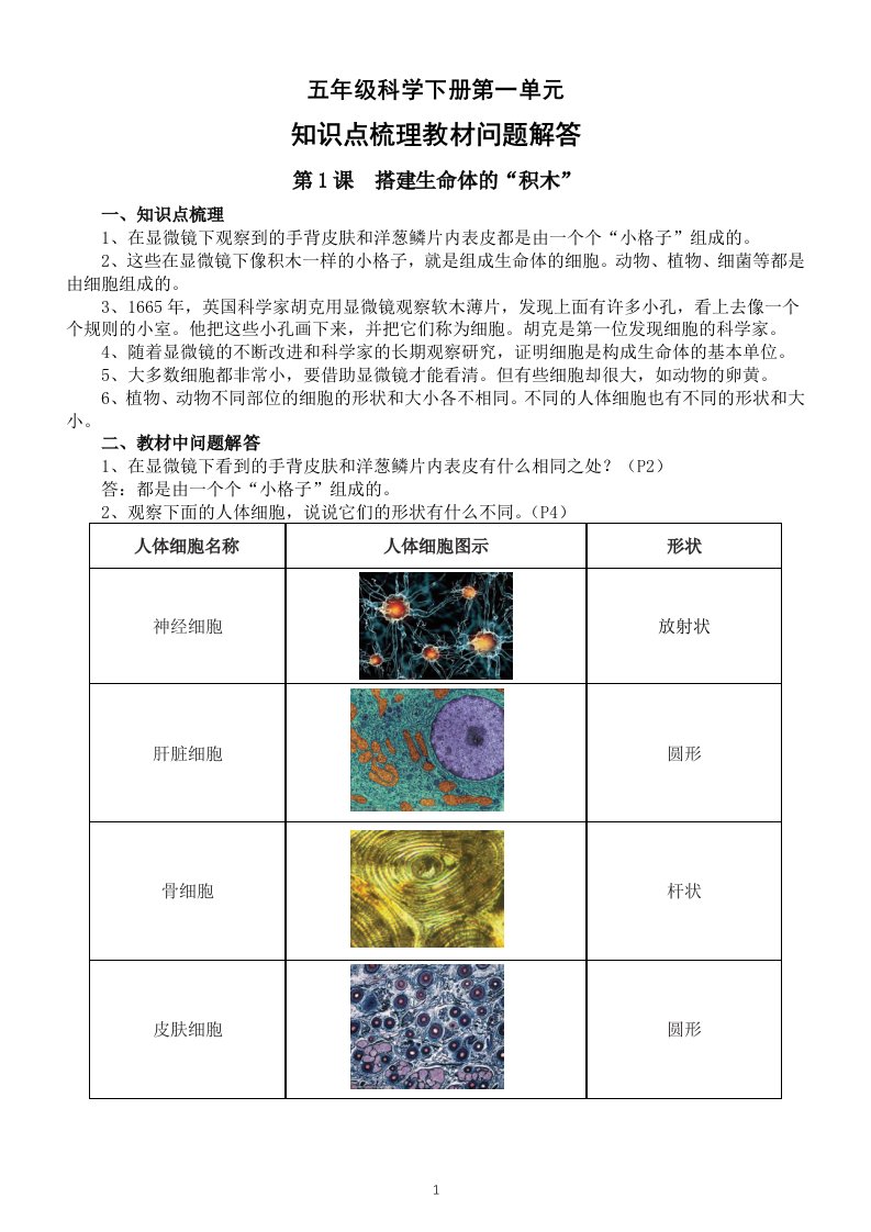 小学科学苏教版五年级下册第一单元《显微镜下的生命世界》知识点梳理教材问题解答（分课时编排）（2022新版）