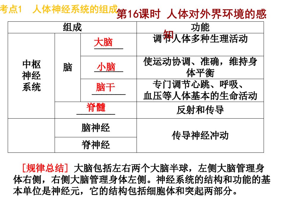 生物中考专题复习3精品2-课件