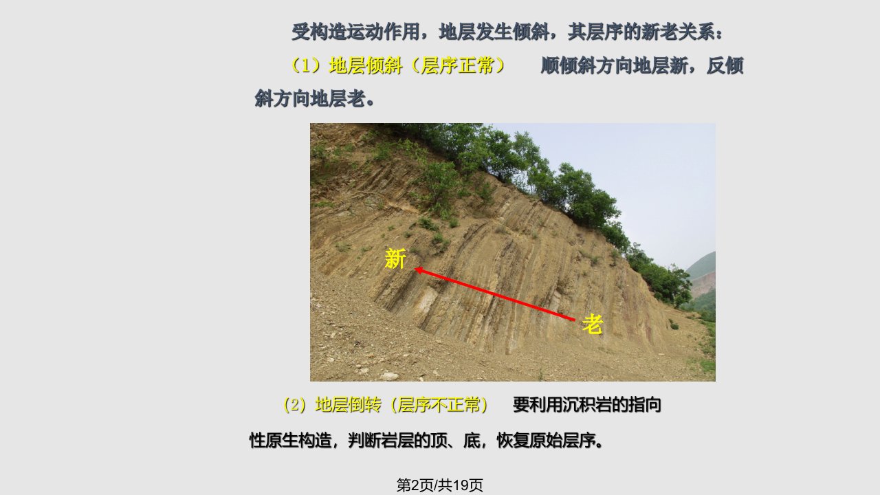 普通地质学地质代