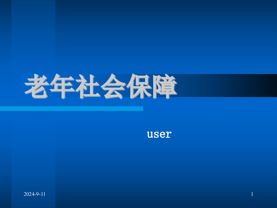 老年社会保障(PPT18)-经营管理