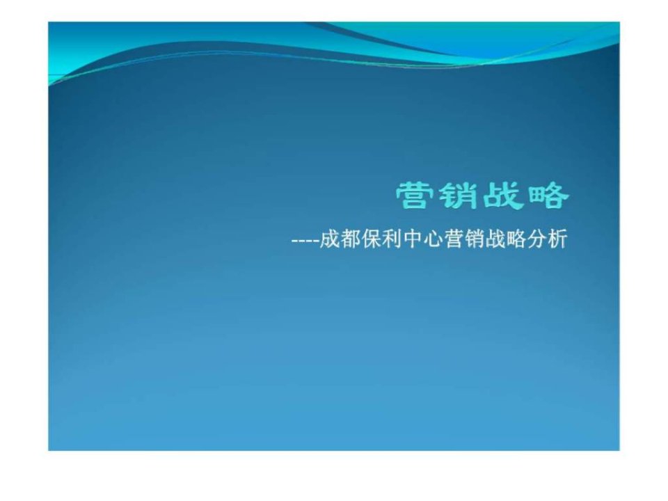 成都保利中心营销战略研究