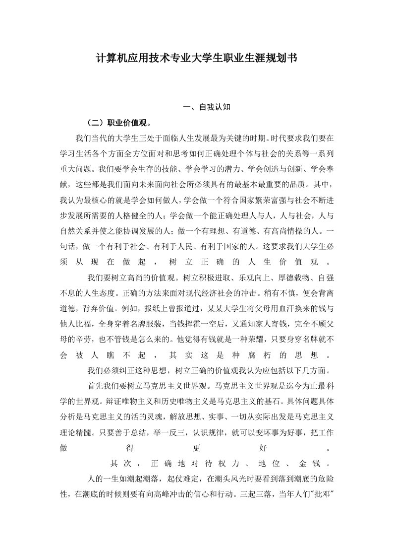 计算机应用技术专业大学生职业生涯规划书