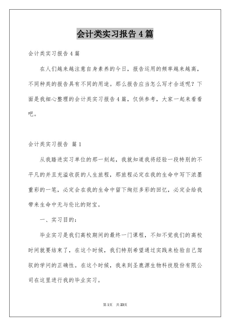 会计类实习报告4篇例文2