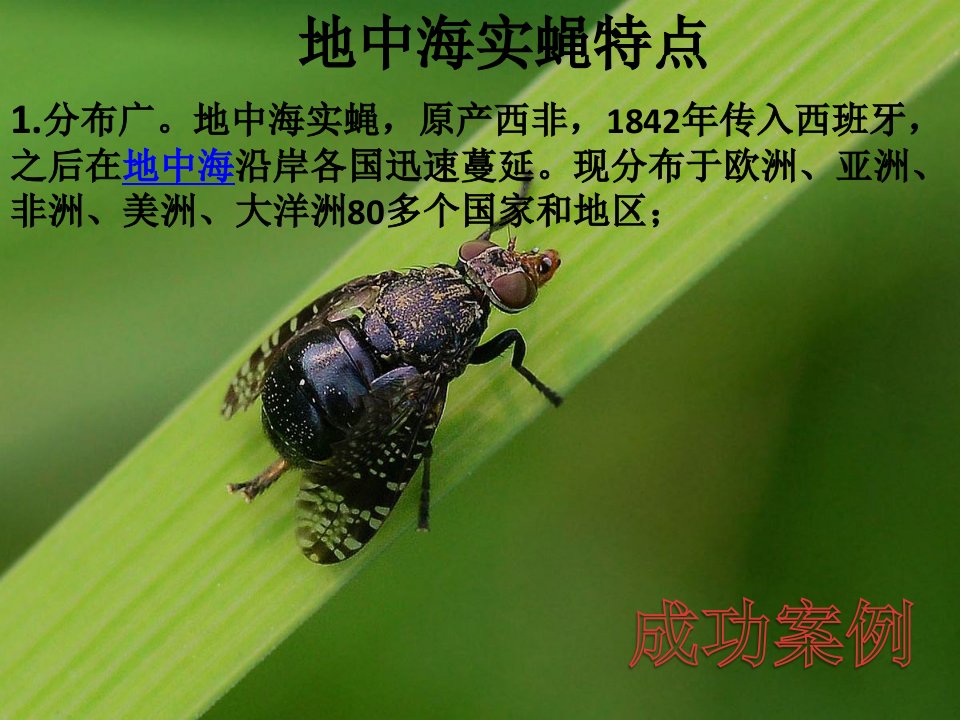 防止生物入侵的方法小组资料四