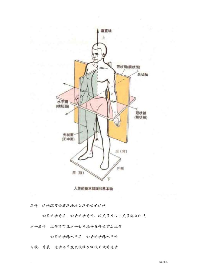 初级健身教练考试资料