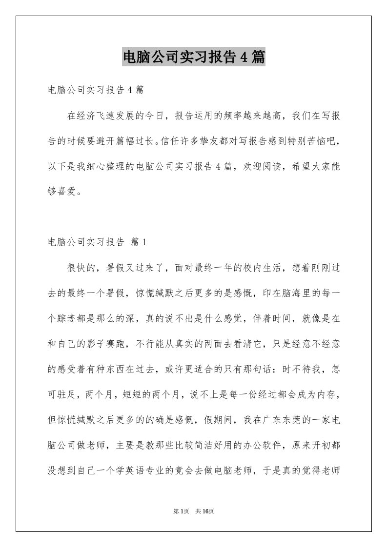 电脑公司实习报告4篇例文