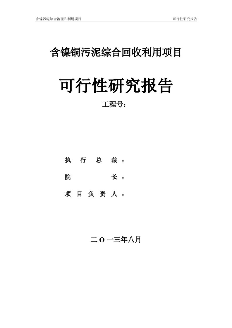 含镍钴铜锌污泥综合回收项目可行性研究报告