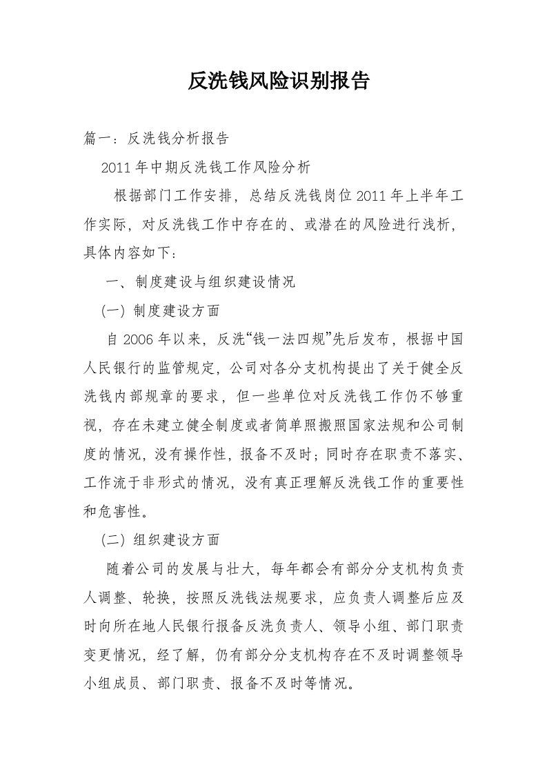 反洗钱风险识别报告