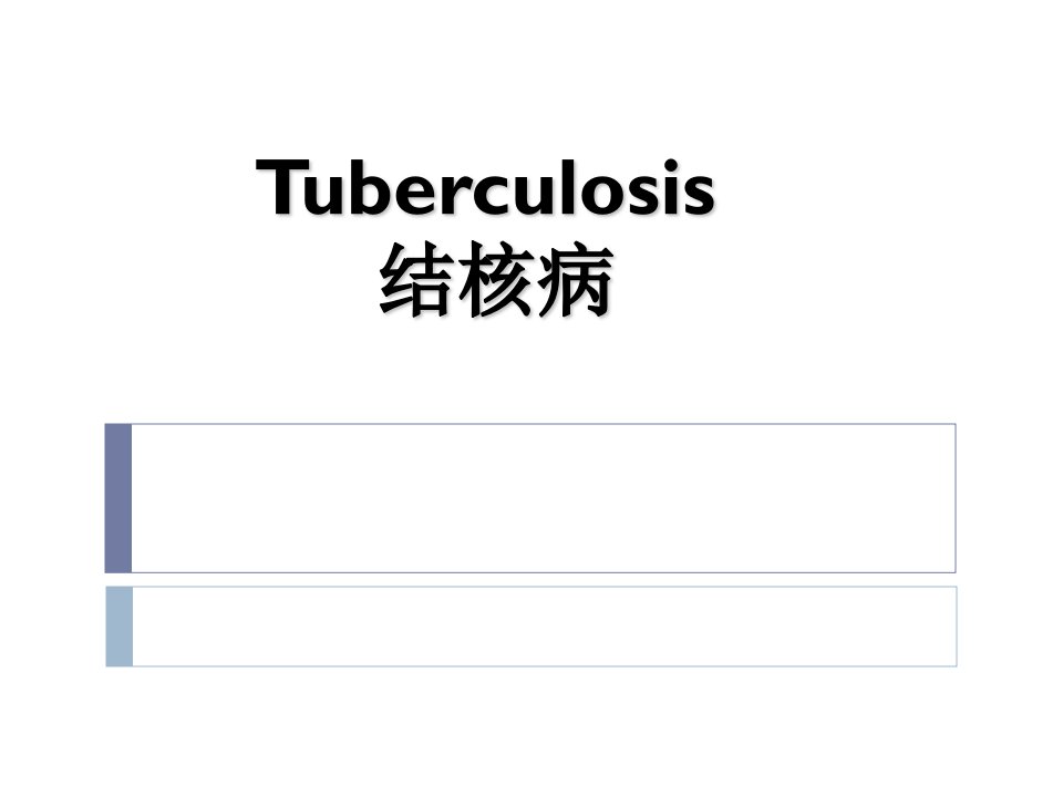 病理学-结核病