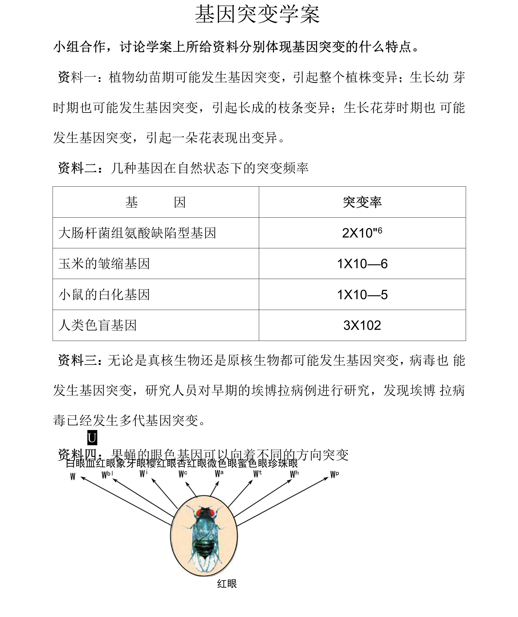 基因突变特点学案