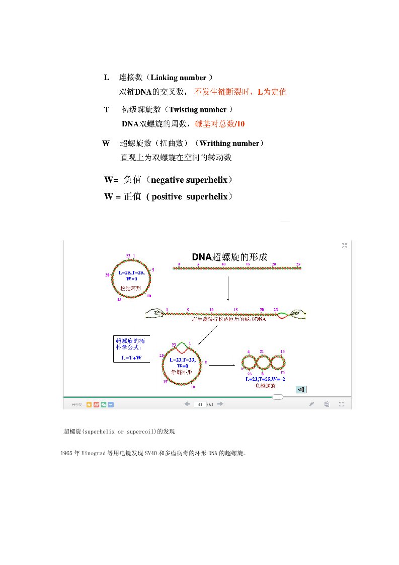 超螺旋LTW