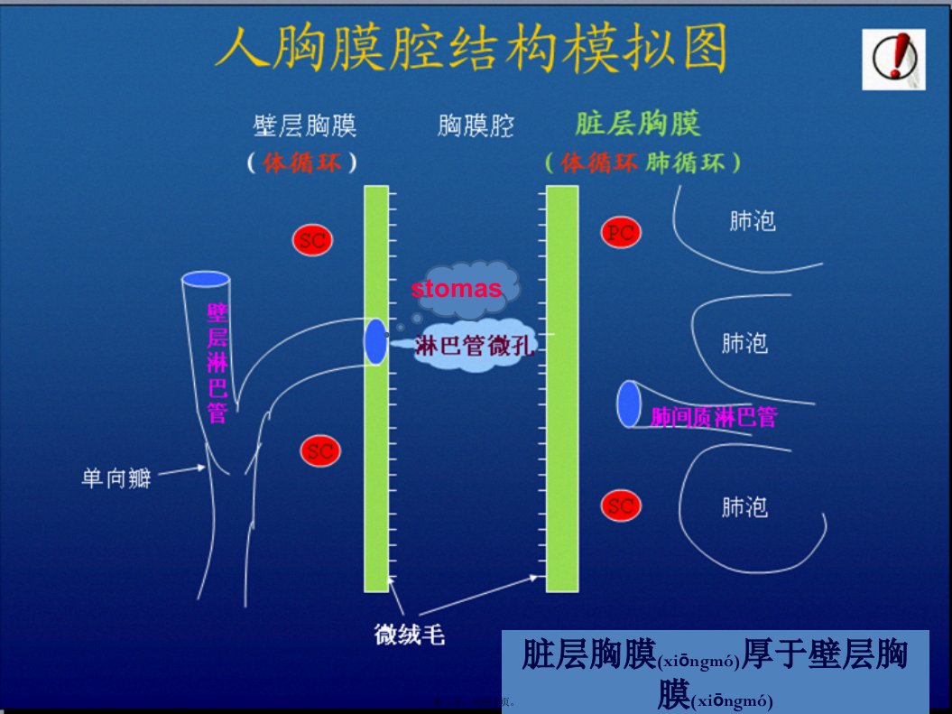 医学专题胸腔积液