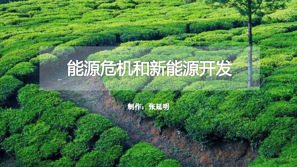 能源危机与新能源开发