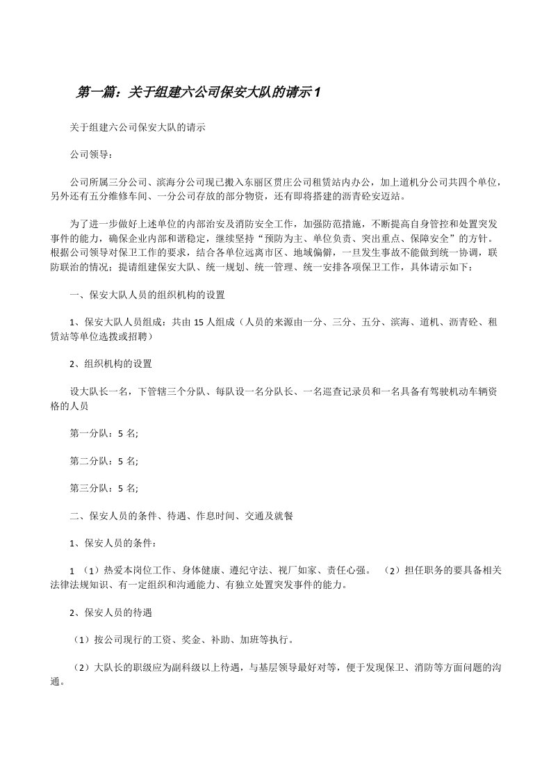 关于组建六公司保安大队的请示1[修改版]