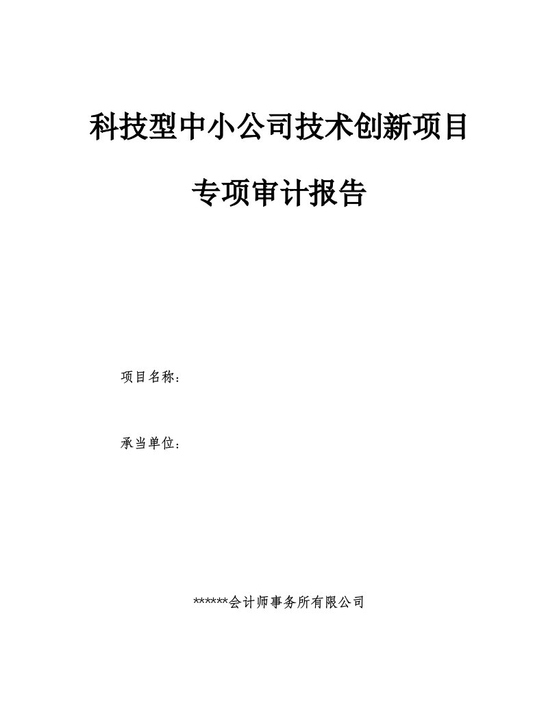 科技型中小企业技术创新项目审计报告模板