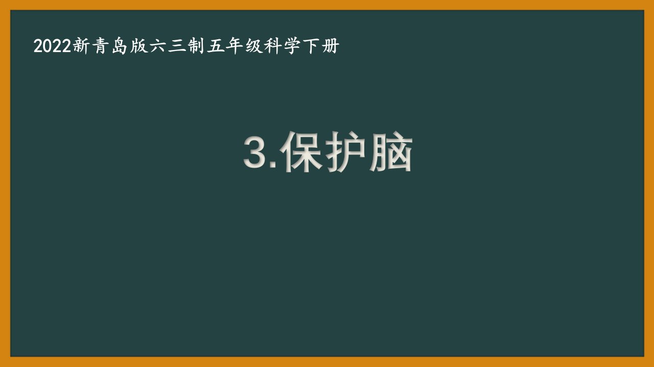 2022新青岛版六三制五年级科学下册第3课《保护脑》课件