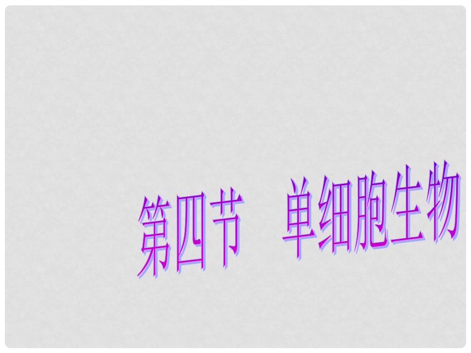 新疆新源县别斯托别中学七年级生物上册