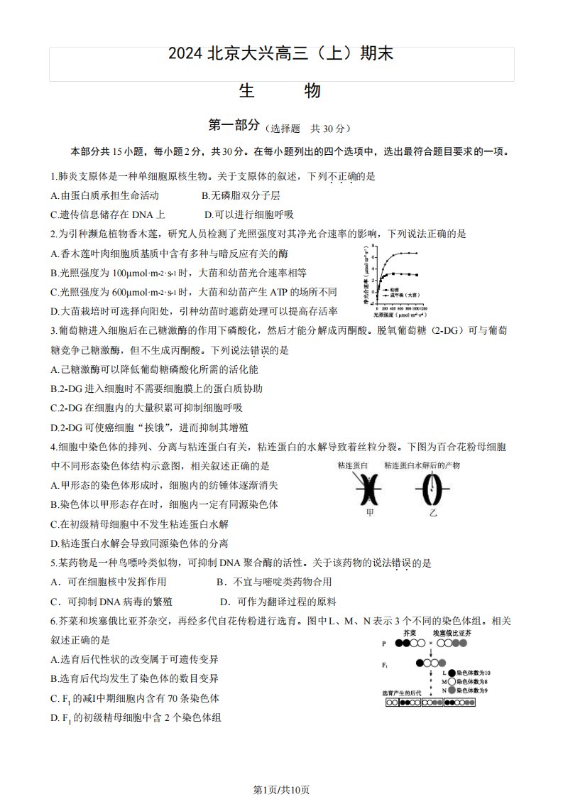 2023-2024学年北京大兴区高三期末生物试题及答案