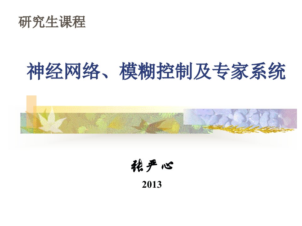 2013神经网络、模糊控制及专家系统第五章