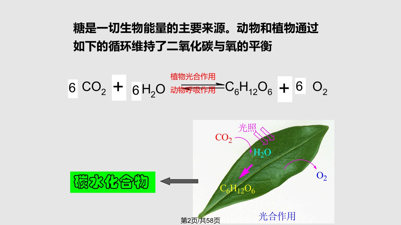 汪小兰有机化学第四版141