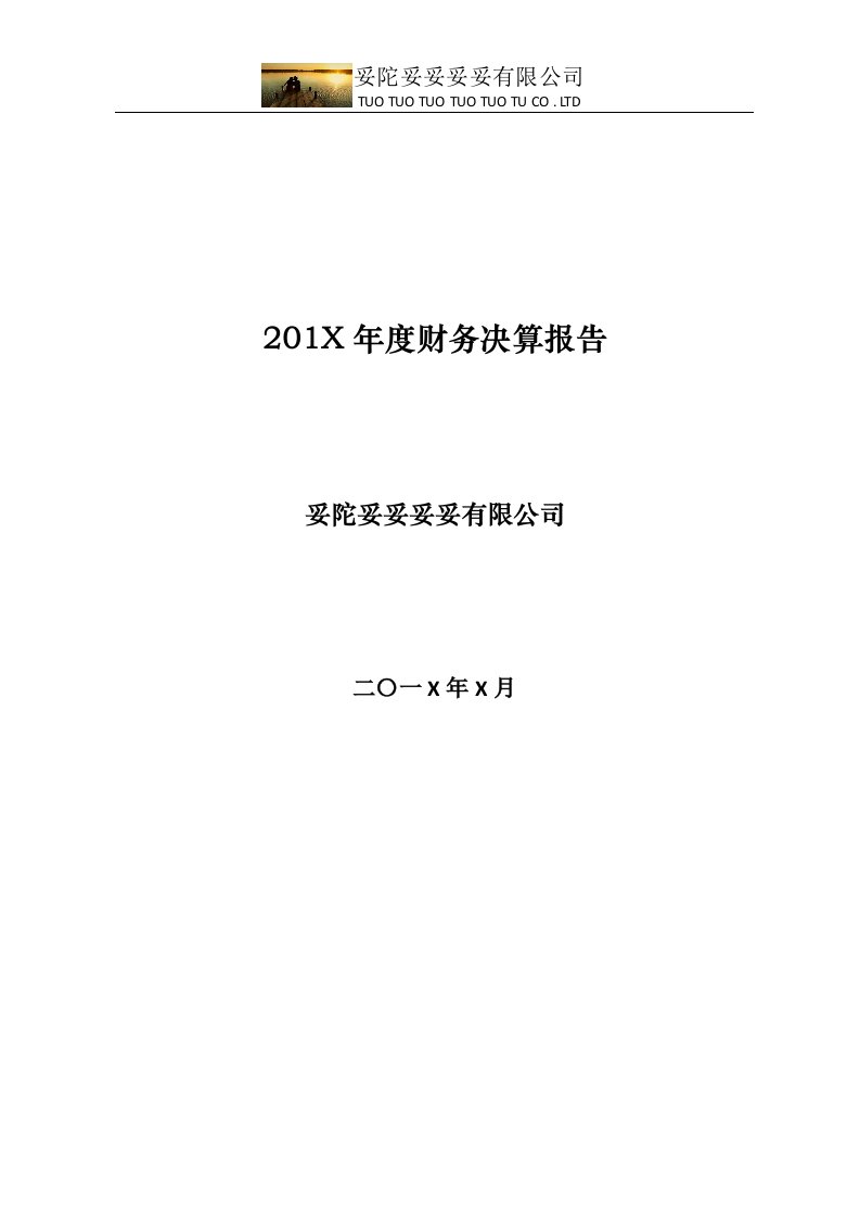 201X年度财务决算报告模板