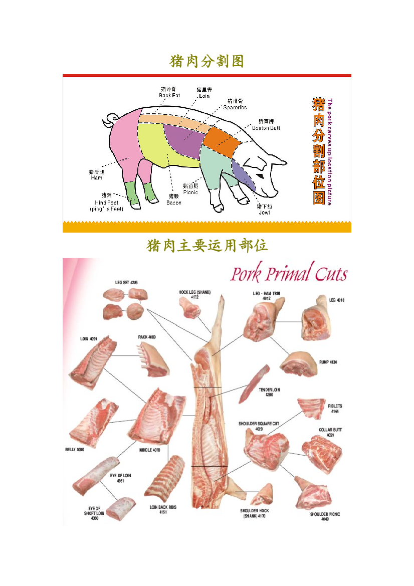 猪肉的分割和解说