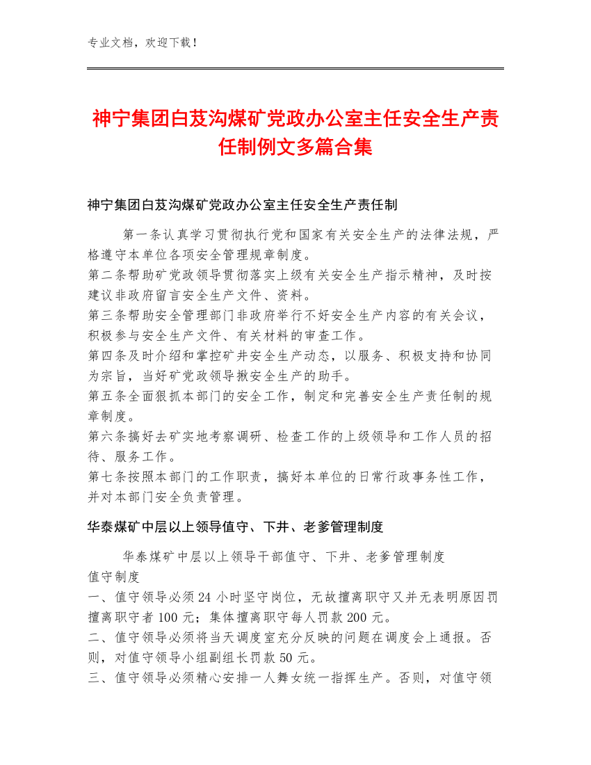 神宁集团白芨沟煤矿党政办公室主任安全生产责任制例文多篇合集